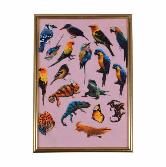 Жидкие силиконовые пигментные чернила для трафаретной печати на текстиле